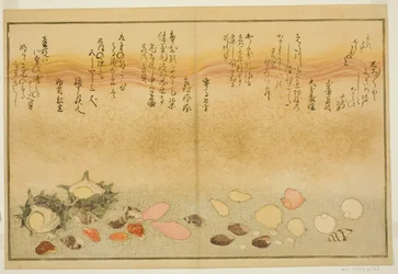 Shiro-gai, namima-gashiwa, makura-gai, iro-gai, aza-gai, sadae-gai, aus dem illustrierten Buch "Geschenke von der Ebbe (Shiohi no tsuto)"