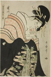 Takigawa, aus der Serie "Reihe der höchsten Schönheiten der Gegenwart (Toji zensei bijin zoroe)"