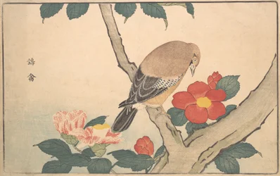 Kamelien mit einem Vogel, 1789