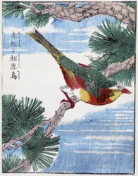 Vogel auf einem Baum. Japanische Zeichnung von Kitao Kosuisai