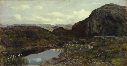 Aus Jotunheimen