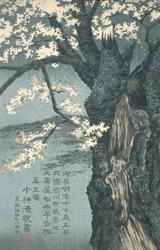 Der Krieger Taira no Tadanori, im Begriff, unter einem Kirschbaum zu schlafen