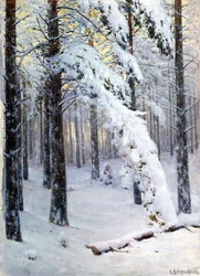 Winterwald