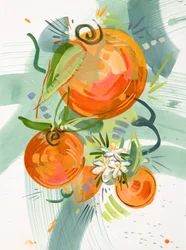 Lebhafte Orangenblüten