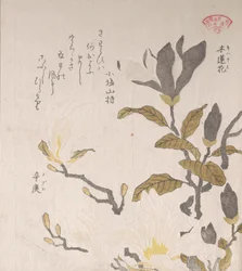 Magnolienblüten, 19. Jahrhundert