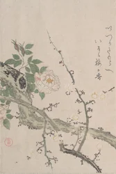 Rosen und Pflaumenblüten, 19. Jahrhundert
