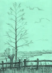 Kahle Baumlandschaft