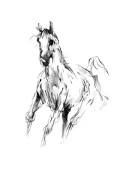 Galoppierendes Pferd Skizze