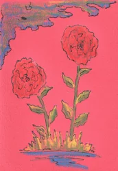 Zwei Blühende Rosen