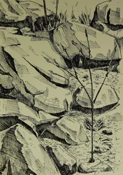 Junger Baum Zwischen Felsen