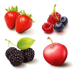 4 Früchte und Beeren isoliert auf weißem Hintergrund Set. 1