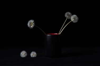 Elegante Löwenzahn Vase