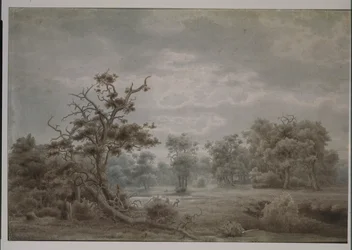 Waldlandschaft aus Düsseldorf