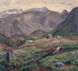 Aus Leirungsdalen