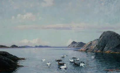 Südküste mit Seevögeln