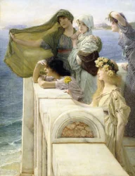 An Aphrodites Wiege