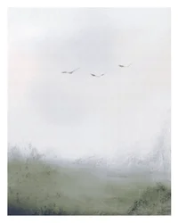 Vögel fliegen über ein Feld, ca. 2018