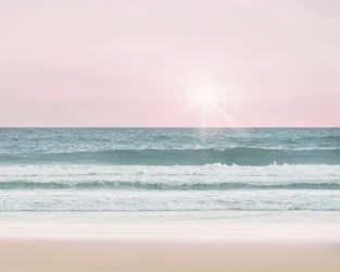 Rosa Strand, ca. 2017