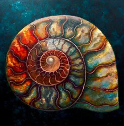Ammonit II