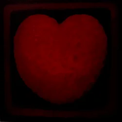 Große Liebe
