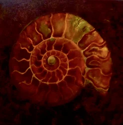 Rote/Goldene Ammonit, 2020