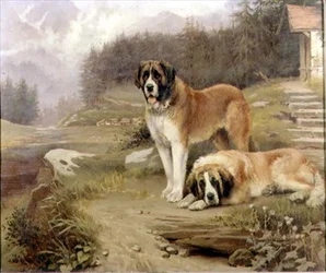 Zwei Bernhardiner in einer alpinen Landschaft