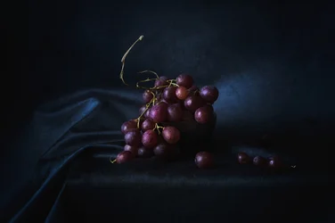 Satte violette Trauben