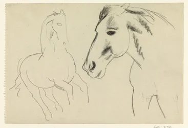 Galoppierendes Pferd und Pferdekopf