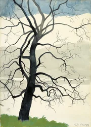 Einsamer Baum am Teichrand