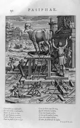 Pasiphaë, Mutter des Minotaurus
