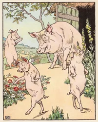 Die drei kleinen Schweinchen
