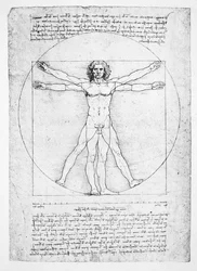 Die Proportionen der menschlichen Figur (nach Vitruv), ca. 1492