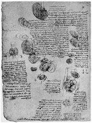 Diagramm des Blutwirbels im Herzen, spätes 15. oder frühes 16. Jahrhundert, 1954