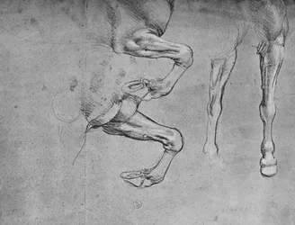 Vier Studien von Pferdebeinen, ca. 1480