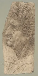 Kopf eines Mannes im Profil nach links