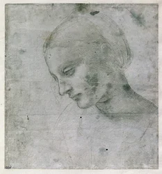 Kopf einer jungen Frau oder Kopf der Jungfrau, um 1490