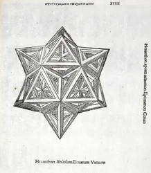 Hexacedron abscisum elevatum vacuum, Illustration aus 