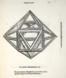 Hexaedron elevatum vacuum, Illustration aus 
