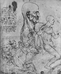 Profil eines Mannes, quadratisch für Proportionen und Studien von Reitern, um 1480, 1945