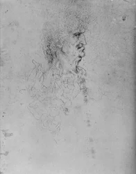 Profil eines alten Mannes nach rechts, ca. 1480