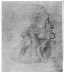 Studie von Judas für Das letzte Abendmahl, ca. 1495