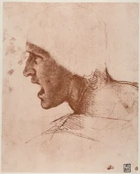 Studie eines männlichen Kopfes für die Schlacht von Anghiari (Museum der Schönen Künste, Budapest)