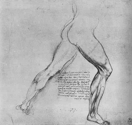 Studie der Beine eines Mannes, der nach rechts ausfällt, ca. 1480 1945