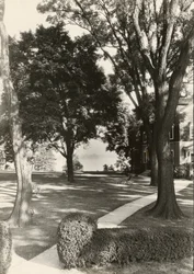 Ohne Titel, ca. 1935