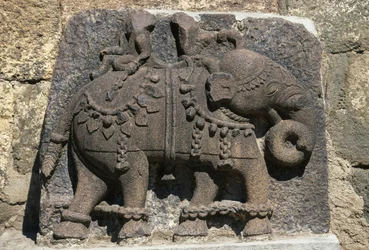 Relief, das einen Elefanten darstellt, Daulatabad (Devagiri) Festung, Maharashtra, Indien
