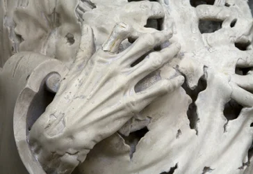 Gehäutet, oder Das Skelett (Detail)