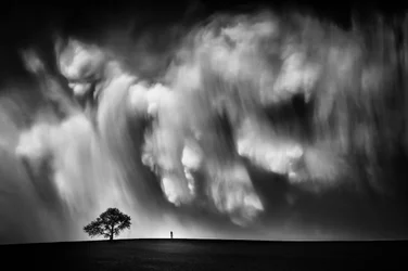 Dramatischer Himmel Einsamer Baum