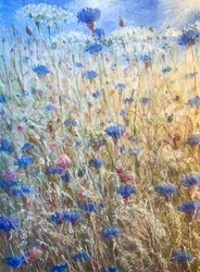 Kornblumen 2