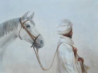 Rabari führt graues Pferd