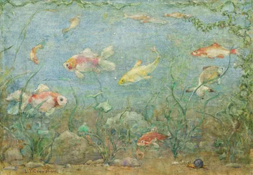Unterwasserszene